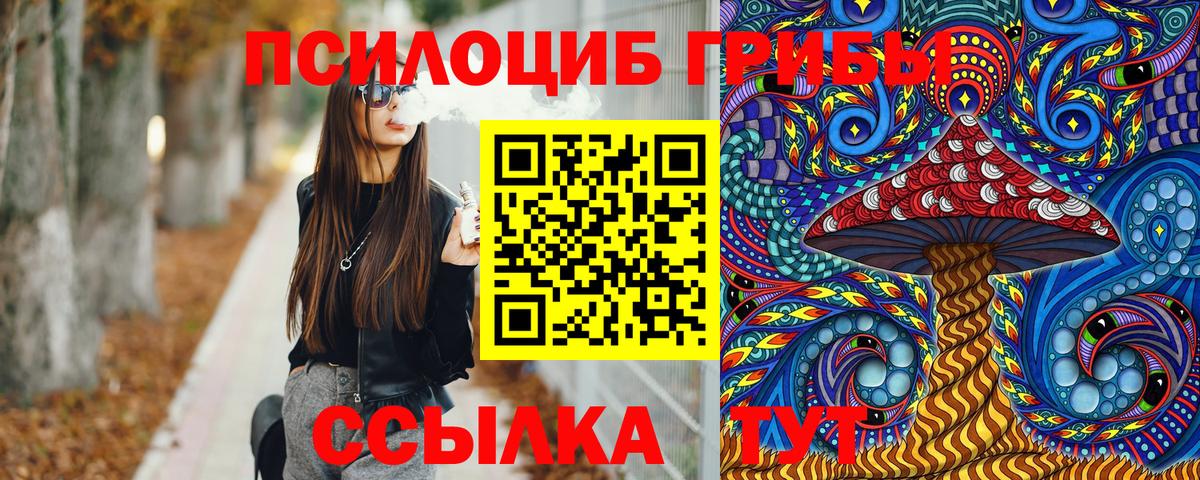 Чайковский  Галлюциногенные грибы Psilocybine cubensis  где найти наркотики  Вход с VPN 